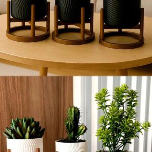 Vasos decorativos que fazem a diferença